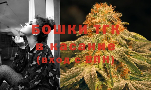 PSILOCYBIN Аркадак