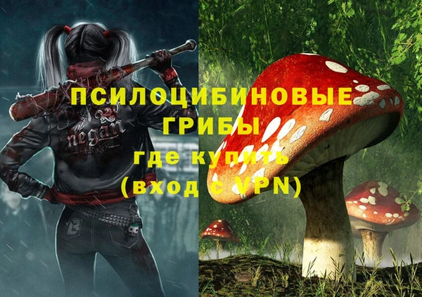 a pvp Абинск