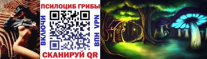 площадка клад  Октябрьский  Галлюциногенные грибы Psilocybe 