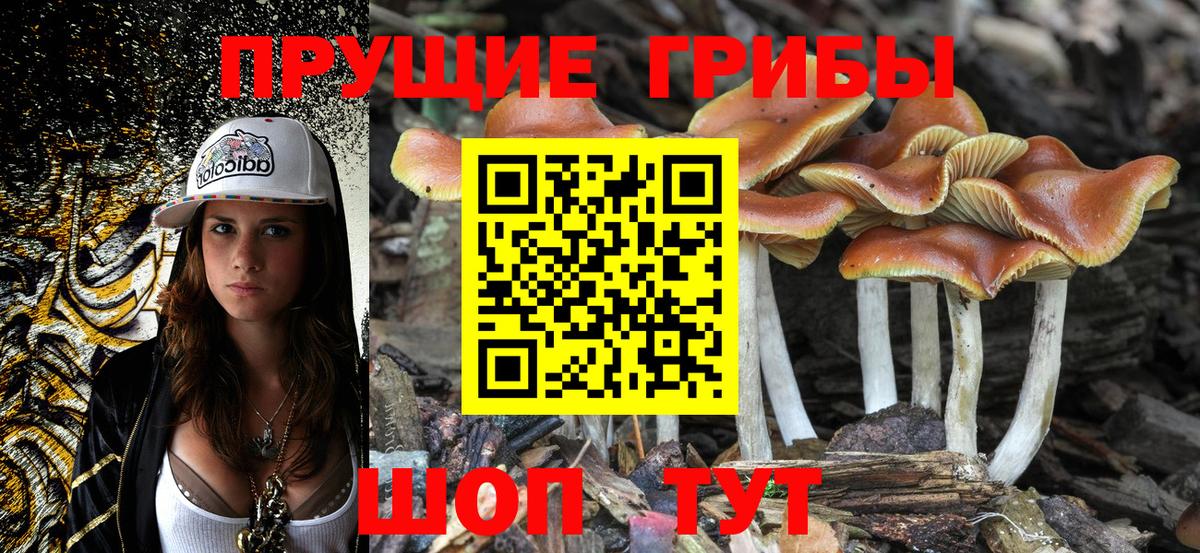 Октябрьский  Галлюциногенные грибы Magic Shrooms  Вход с VPN  Галлюциногенные грибы Magic Shrooms 