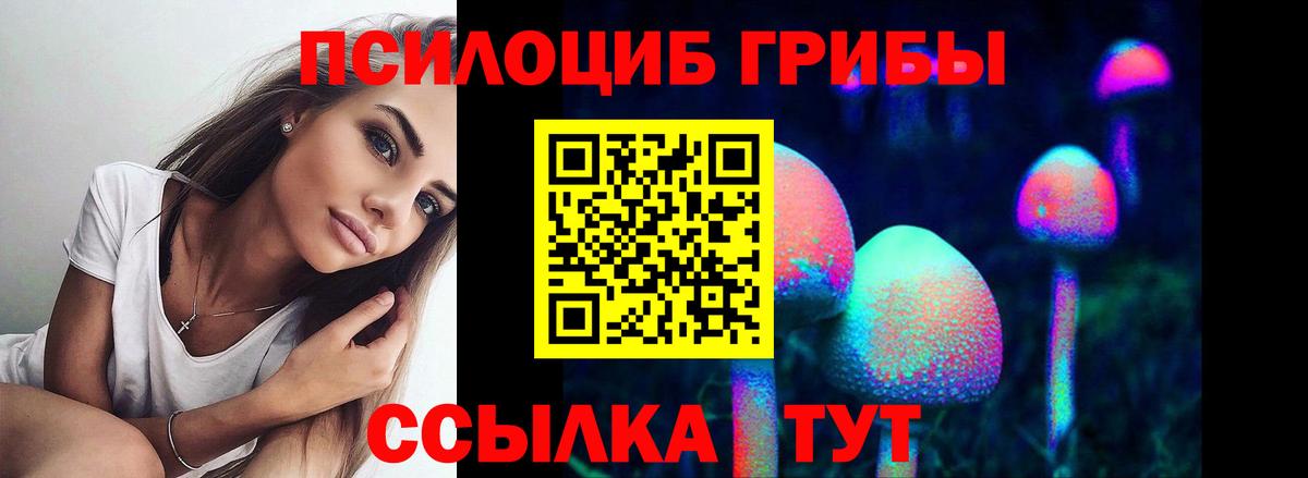 Псилоцибиновые грибы прущие грибы Октябрьский